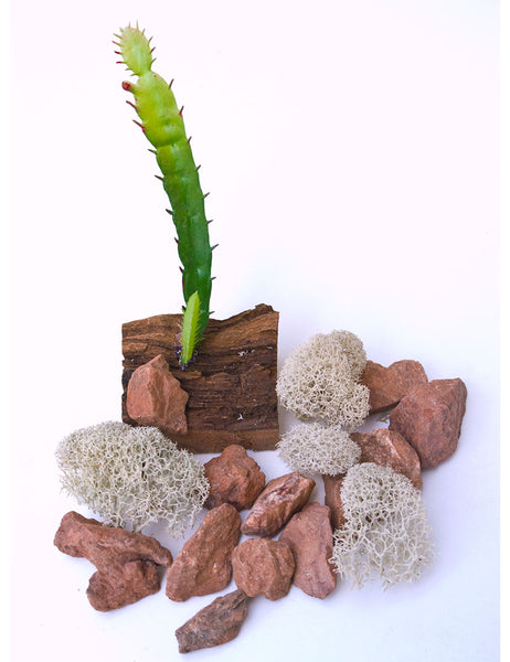 81451-desert-decor-pack-