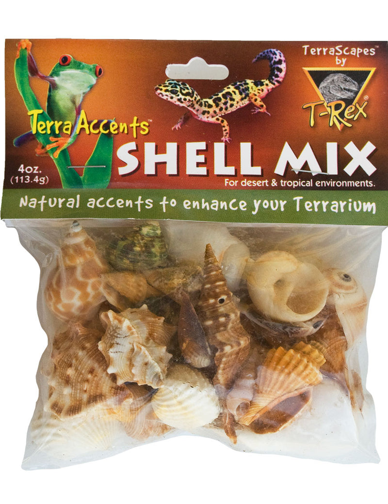 T-Rex Reptile Terrarium Decor - Terra Accents Shell Mix