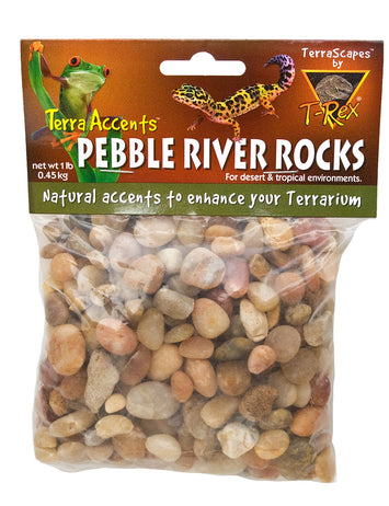 T-Rex Reptile Terrarium Decor -  Terra Accents Pebble River Rocks