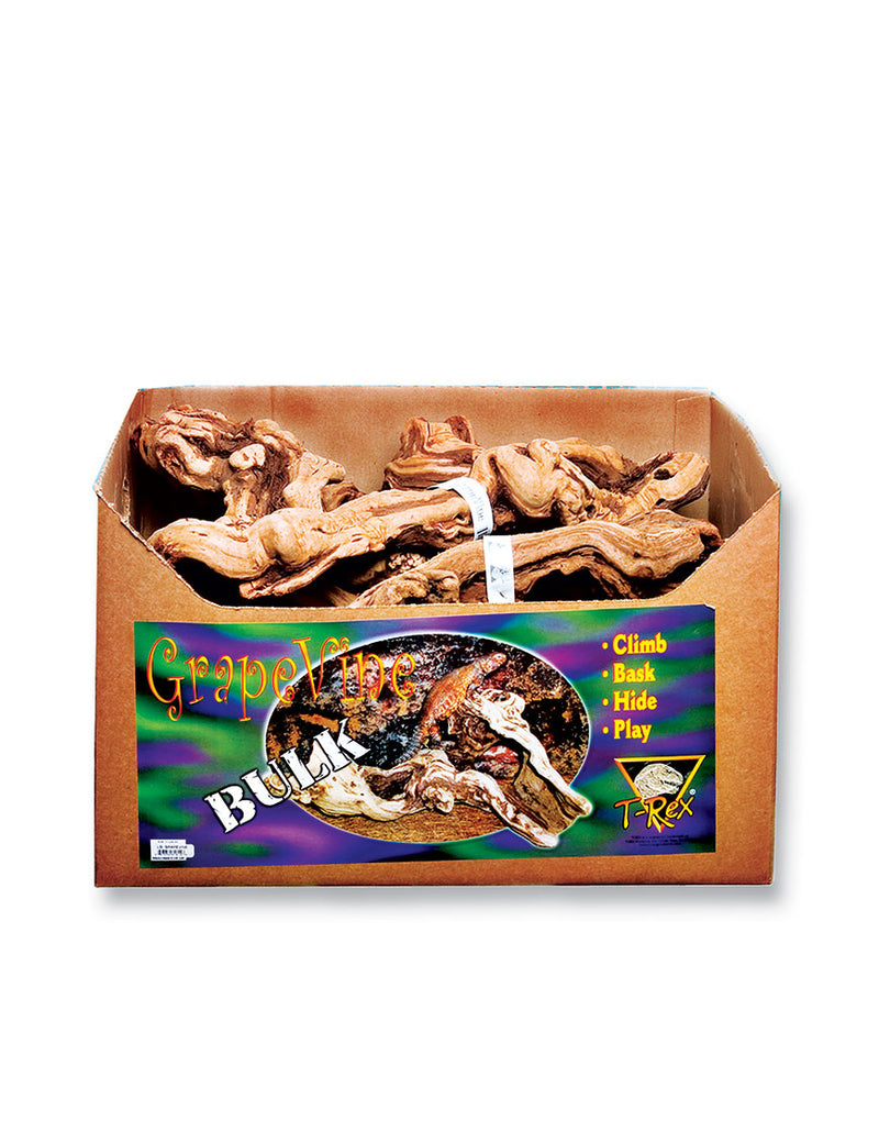 T-Rex Reptile Terrarium Decor - Grapevine Wood Branch - Bulk Box