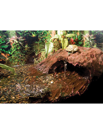 T-Rex Reptile Terrarium Decor - Terra Accents Sheet Moss – T-Rex Products