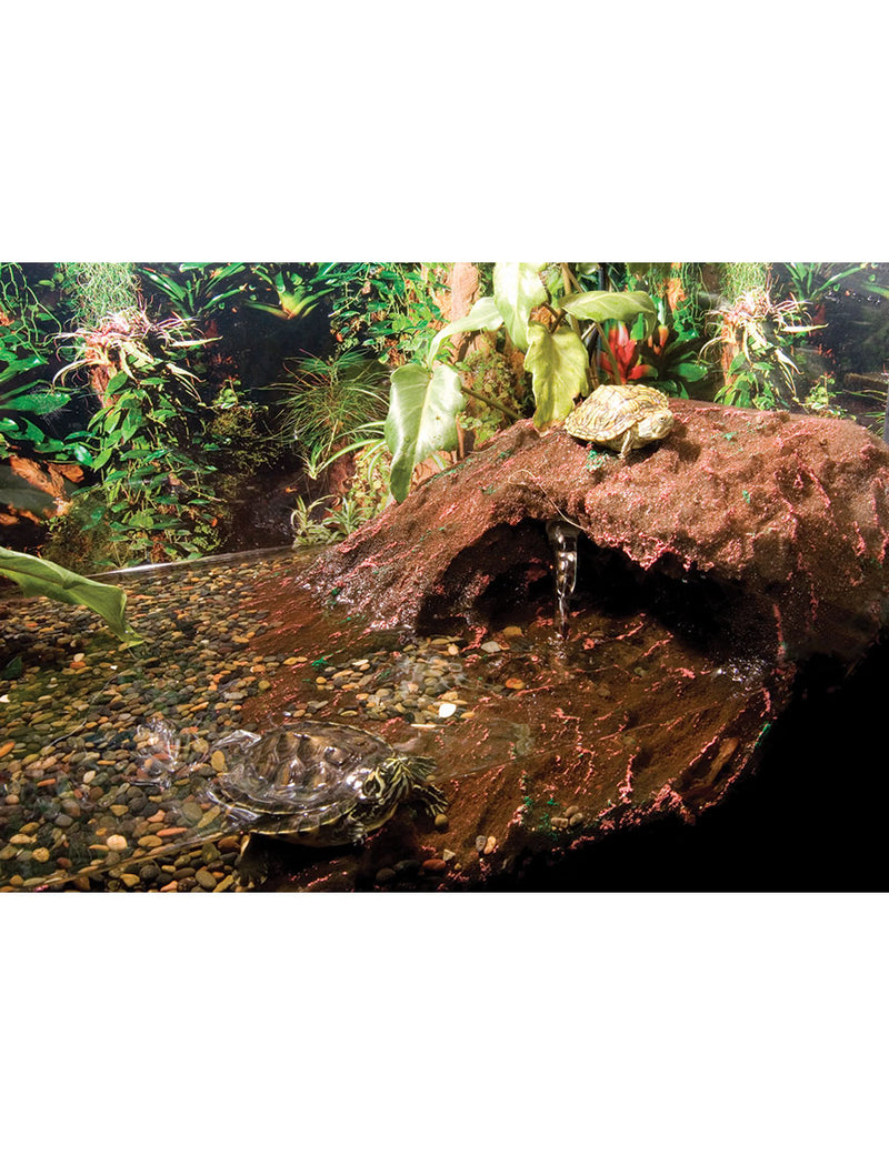 T-Rex Reptile Terrarium Decor - Turtle Beach - 20 Gallon