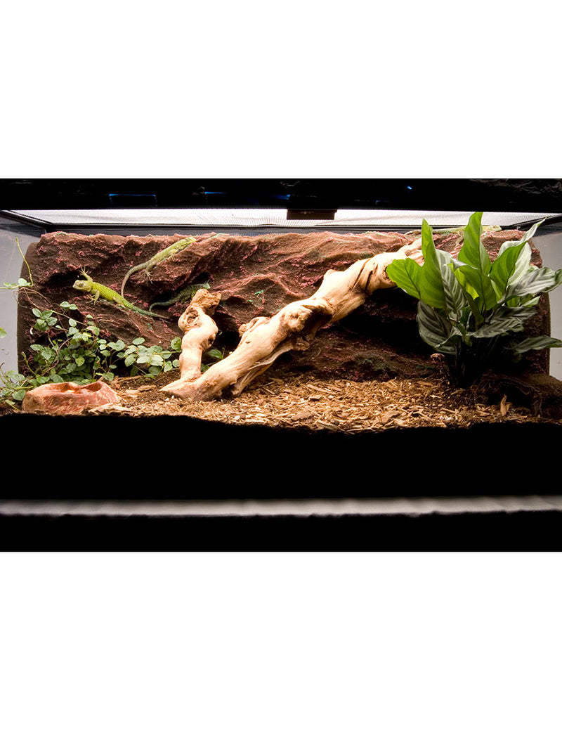 T-Rex Reptile Terrarium Decor Rock Ridge Background 20 Gallon