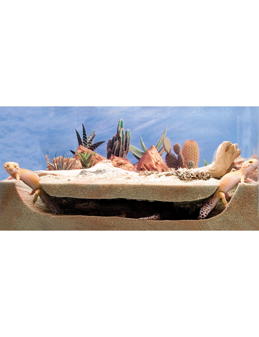 T-Rex Reptile Terrarium Decor - Peek-A-View Burrow - 10 Gallon – T-Rex ...