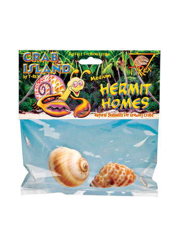 T-Rex Hermit Crab Home Medium Shell (2 pk)