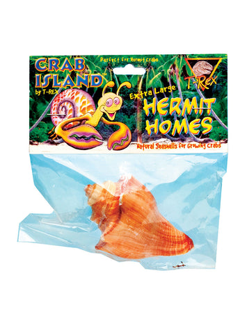 T-Rex Hermit Crab Home X-Large Shell