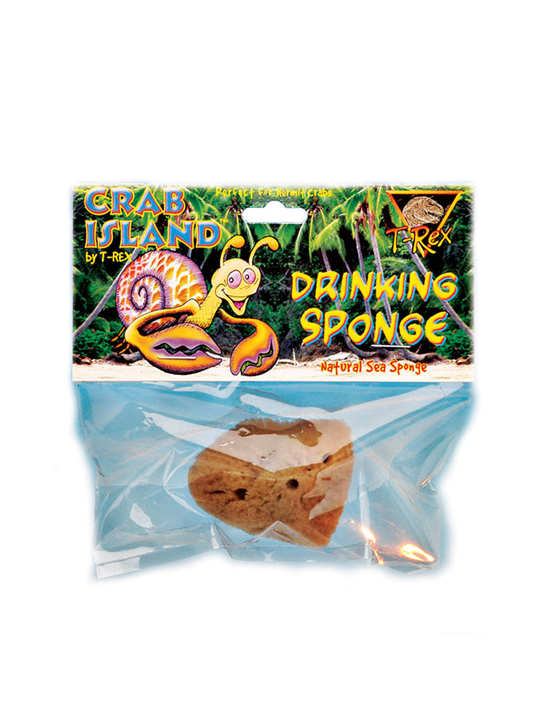 T-Rex Hermit Crab Accesory - Drinking Sponge