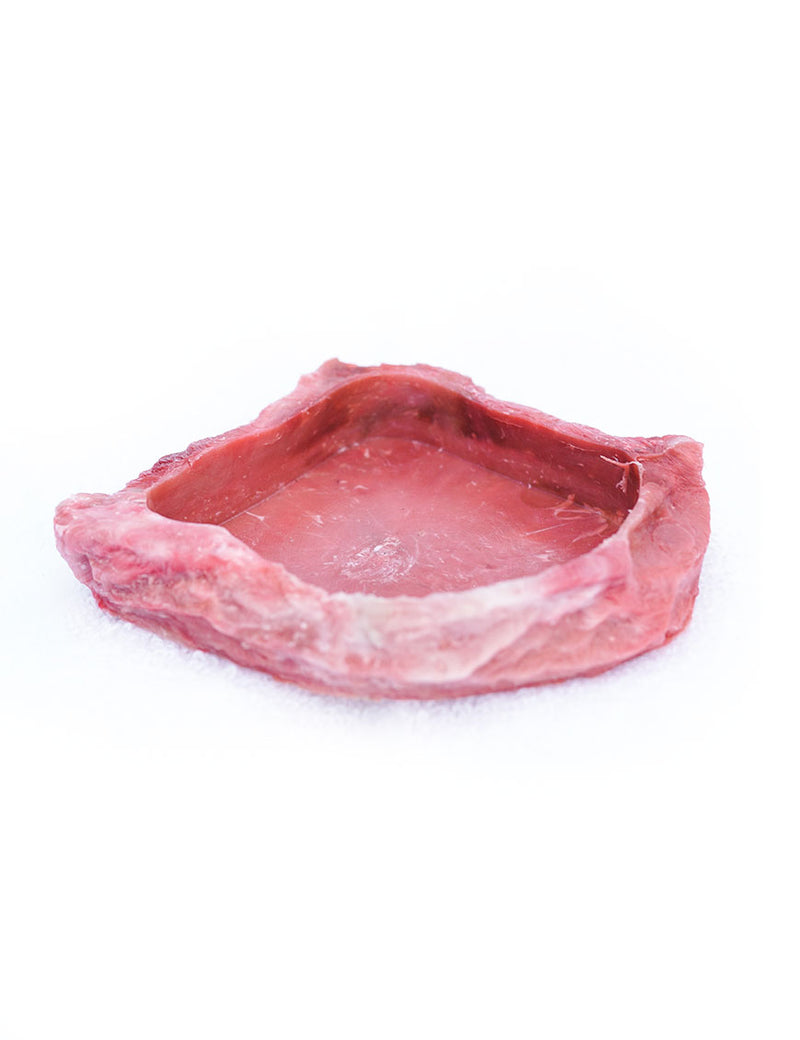 T-Rex Hermit Crab Accessory - Food & Water Dish Red Rock